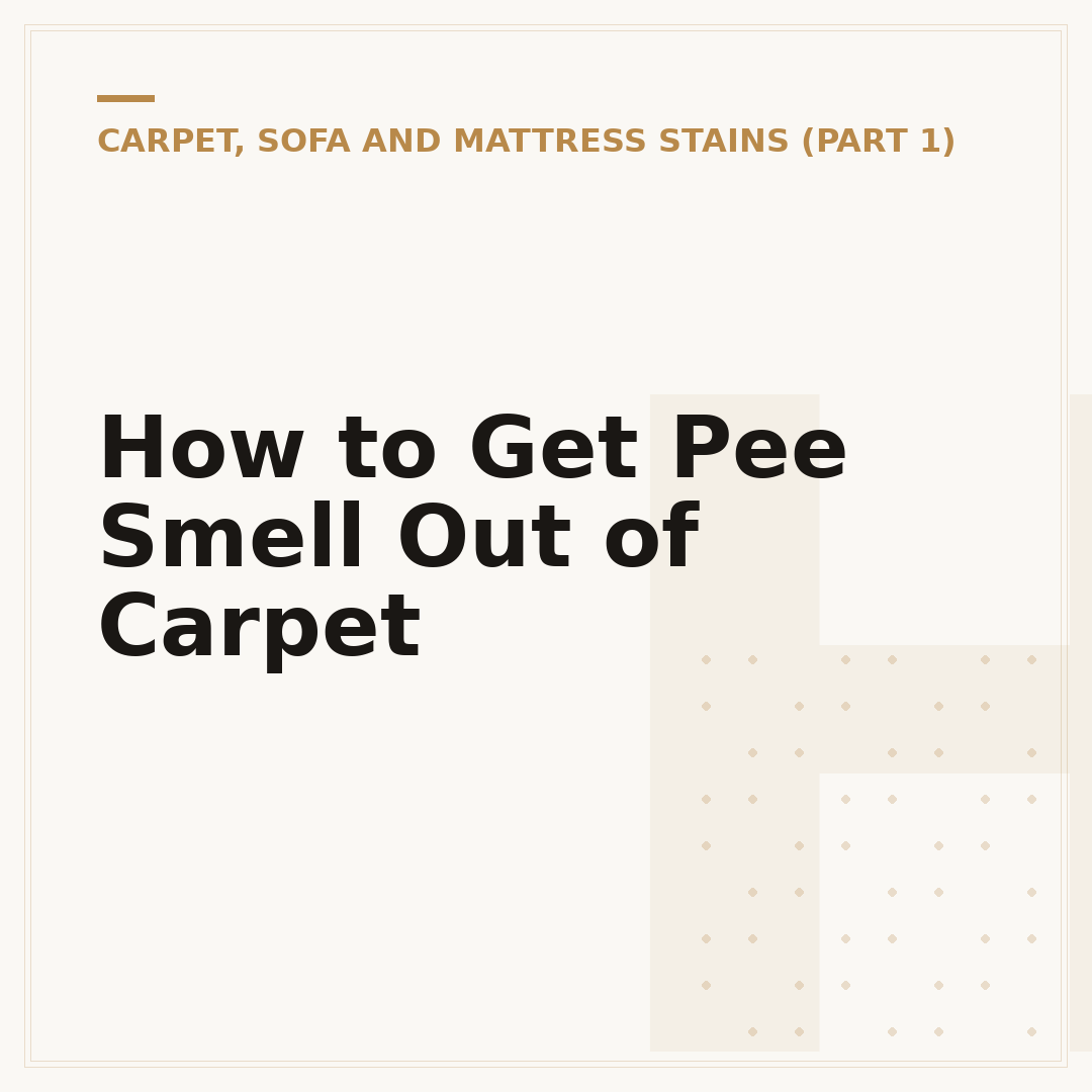 How to Get Pee Smell Out of Carpet