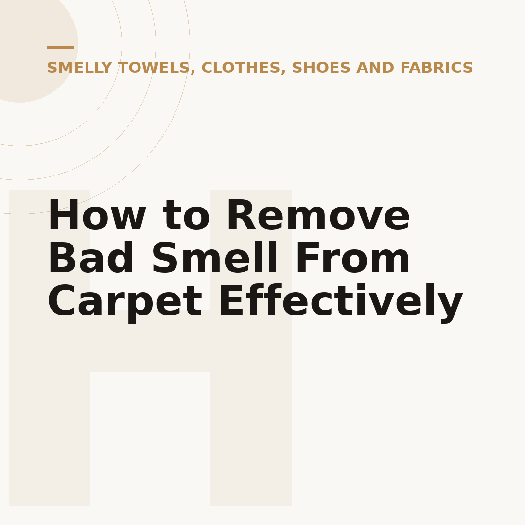 How to Remove Bad Smell From Carpet Effectively