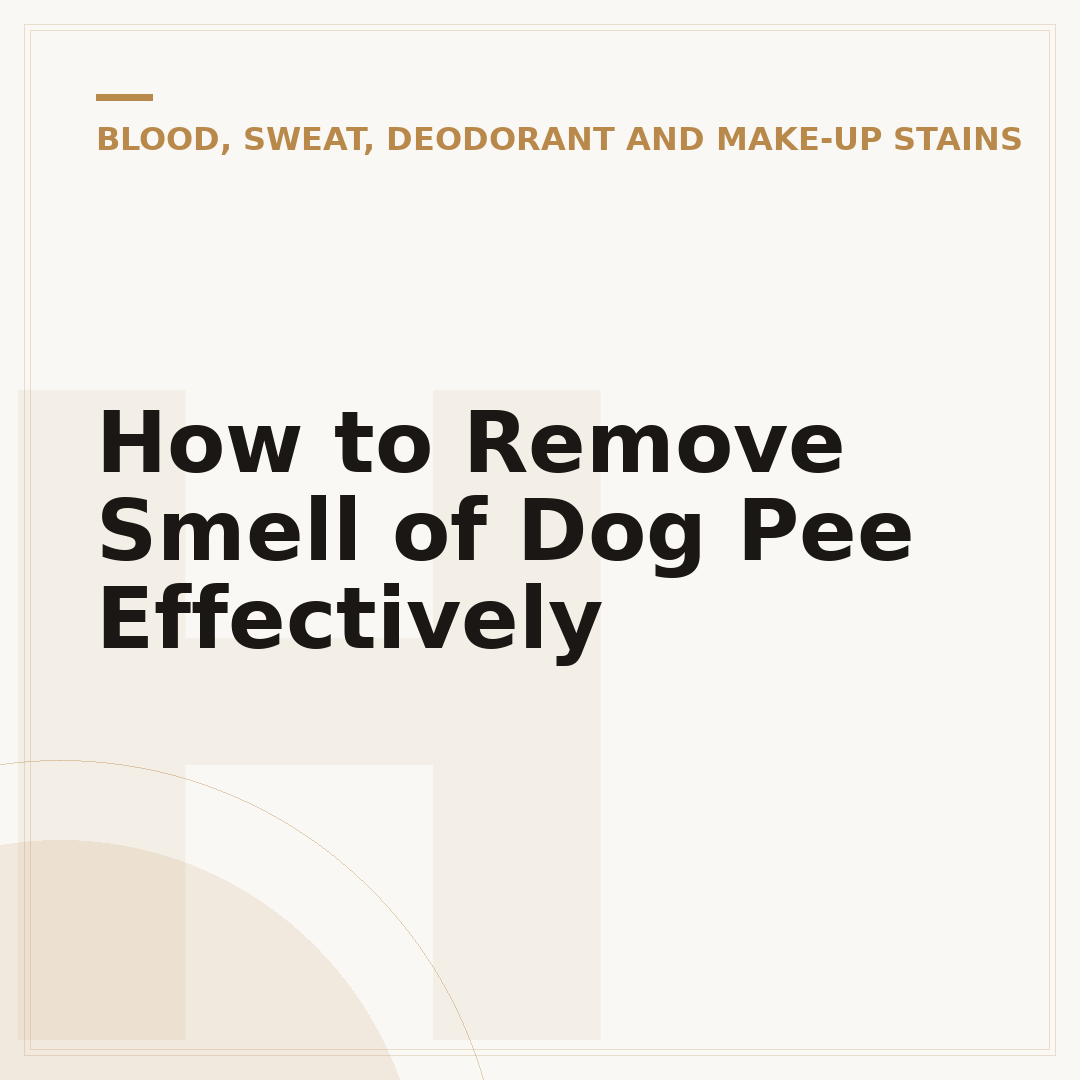 How to Remove Smell of Dog Pee Effectively
