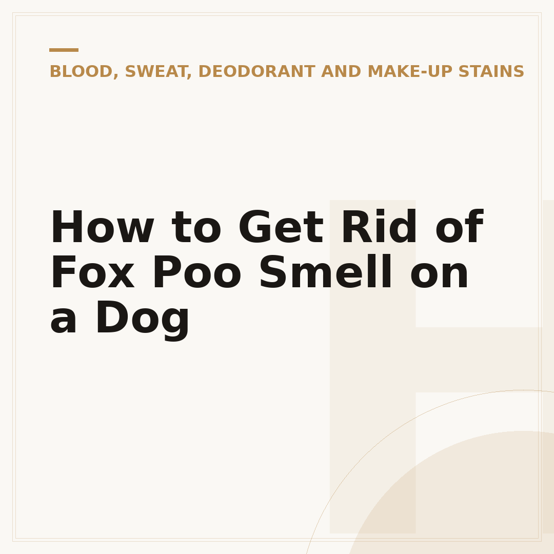 How to Get Rid of Fox Poo Smell on a Dog
