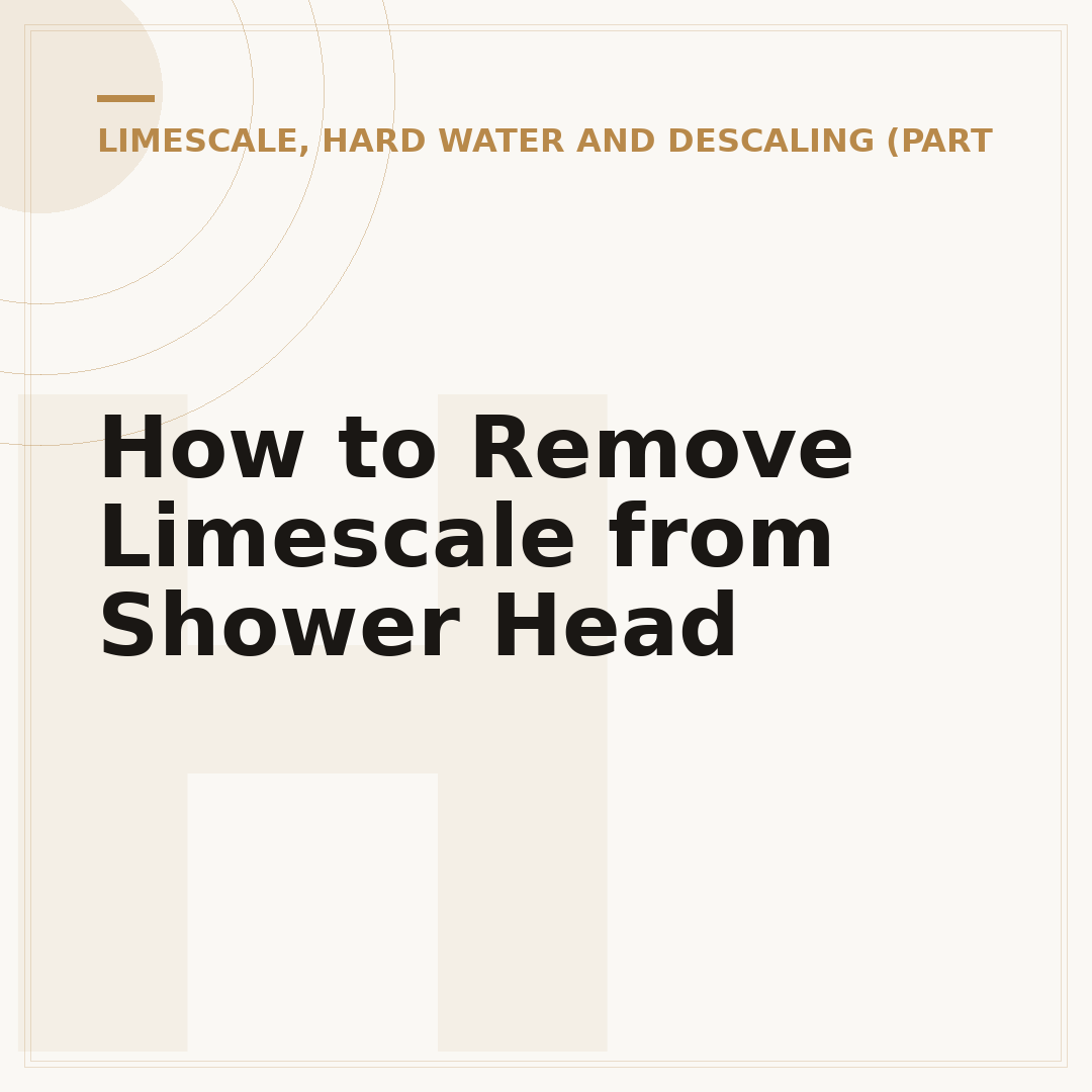 How to Remove Limescale from Shower Head