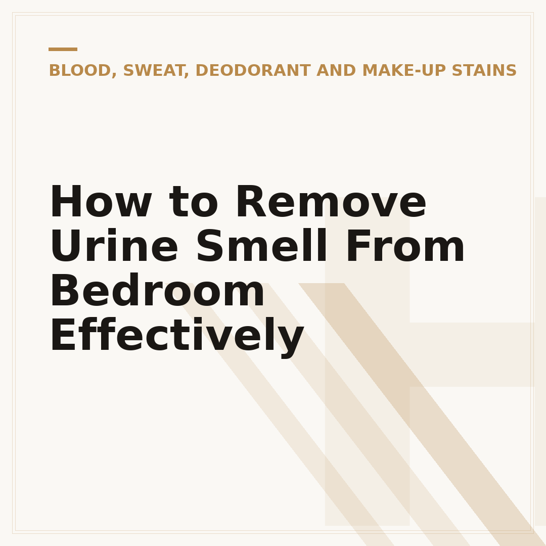 How to Remove Urine Smell From Bedroom Effectively