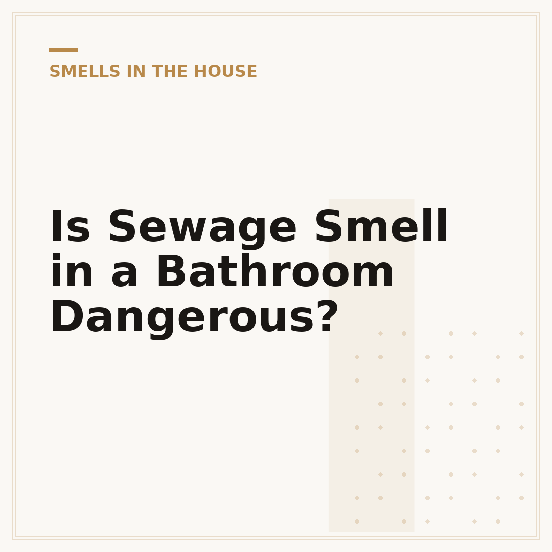 Is Sewage Smell in a Bathroom Dangerous?