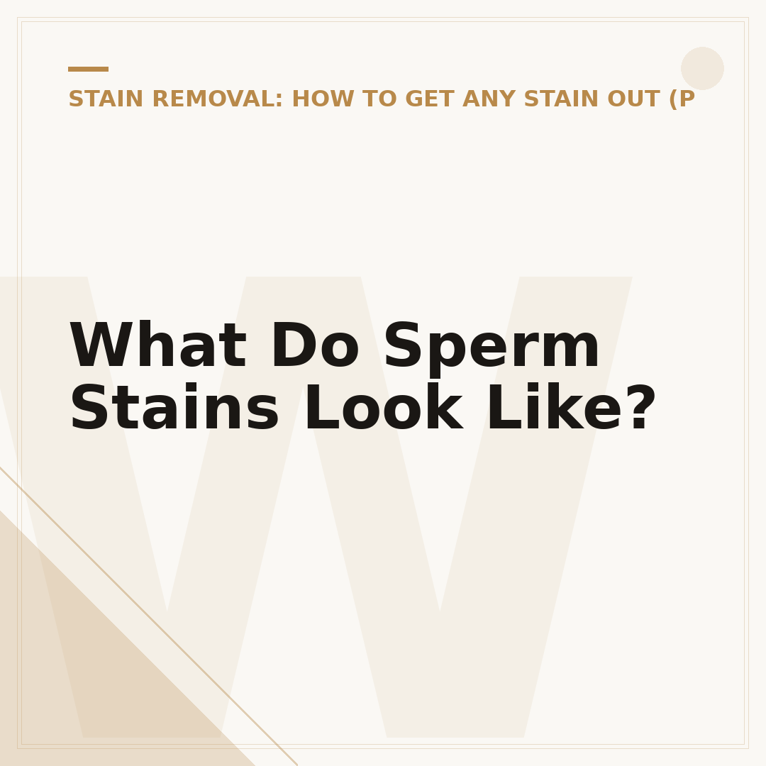 What Do Sperm Stains Look Like?