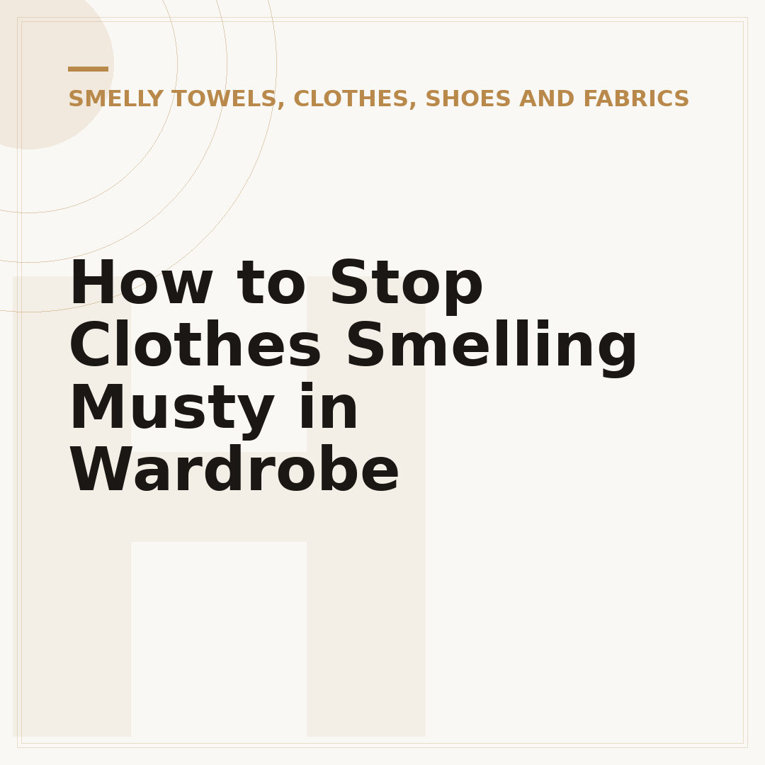 How to Stop Clothes Smelling Musty in Wardrobe