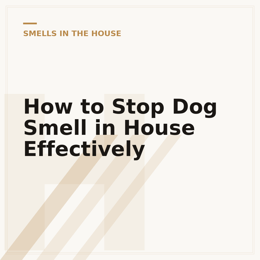 How to Stop Dog Smell in House Effectively