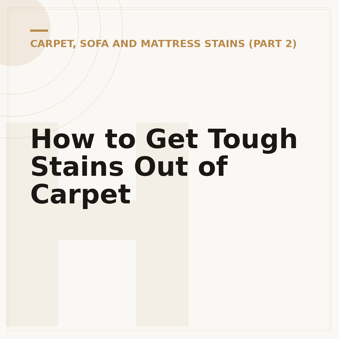 How to Get Tough Stains Out of Carpet