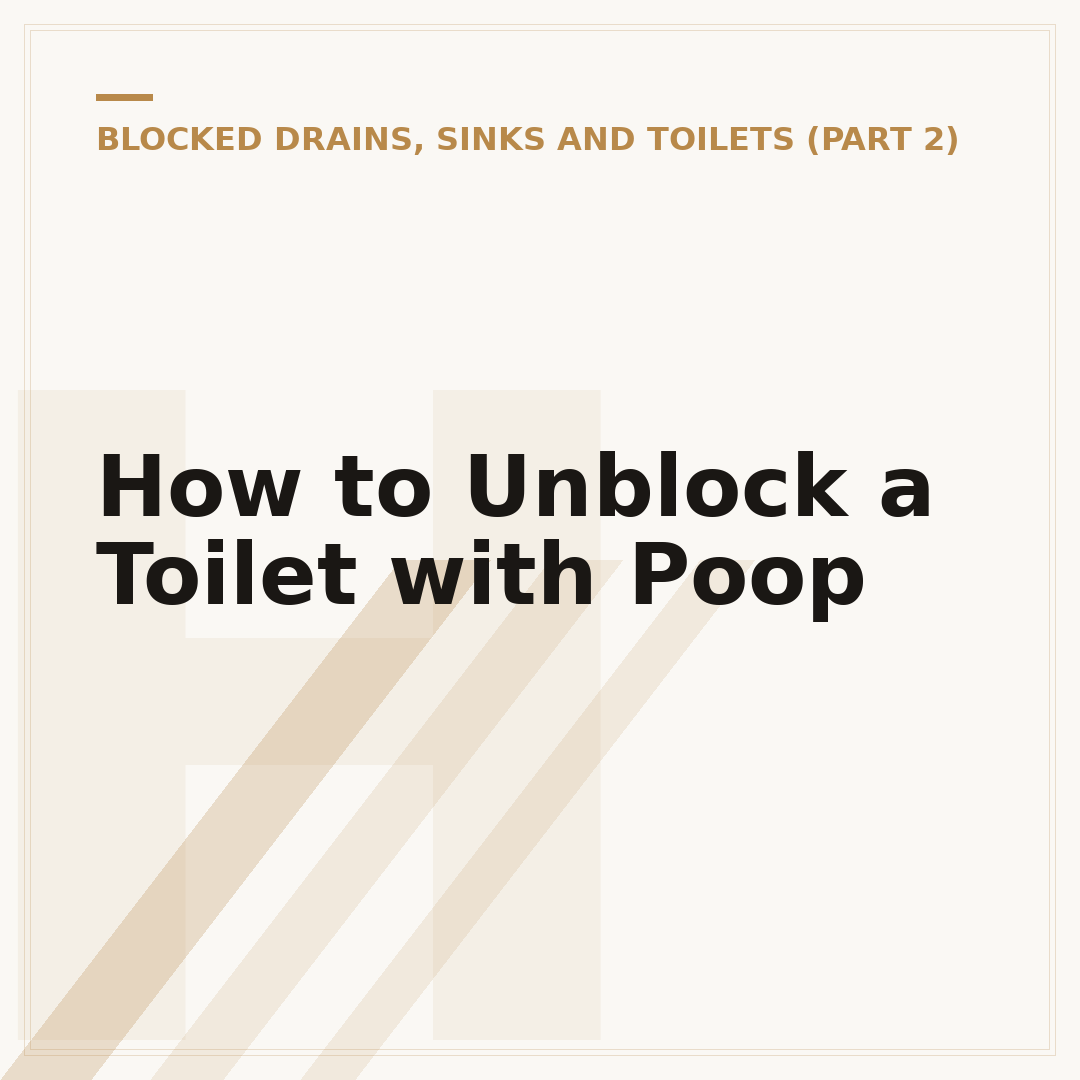 How to Unblock a Toilet with Poop