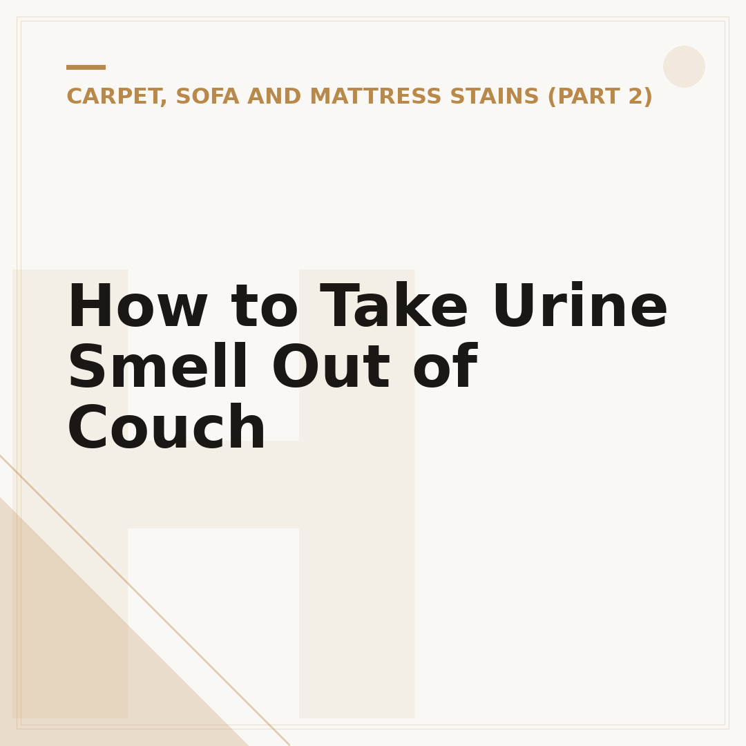 How to Take Urine Smell Out of Couch