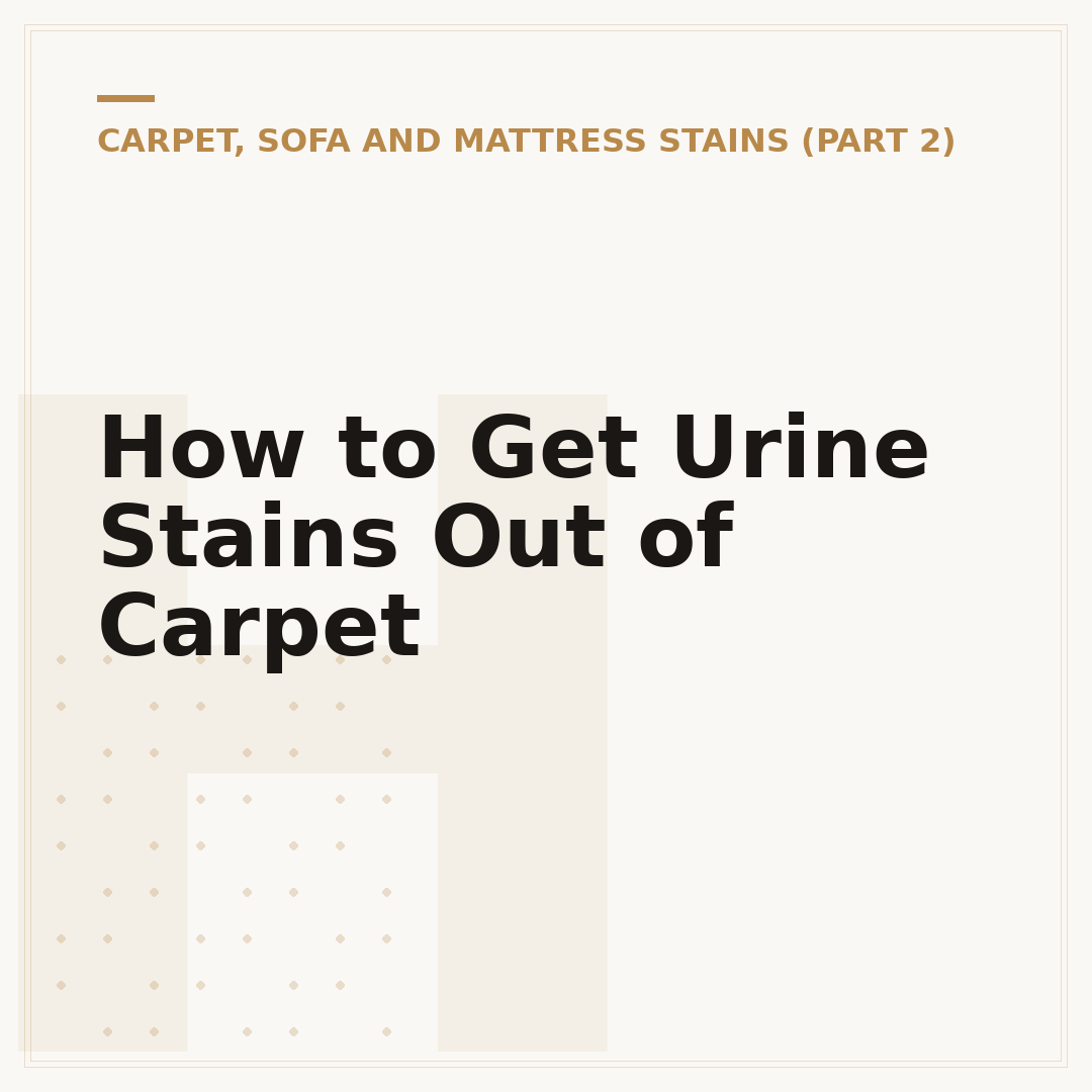 How to Get Urine Stains Out of Carpet