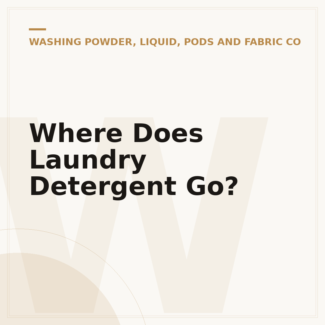 Where Does Laundry Detergent Go?