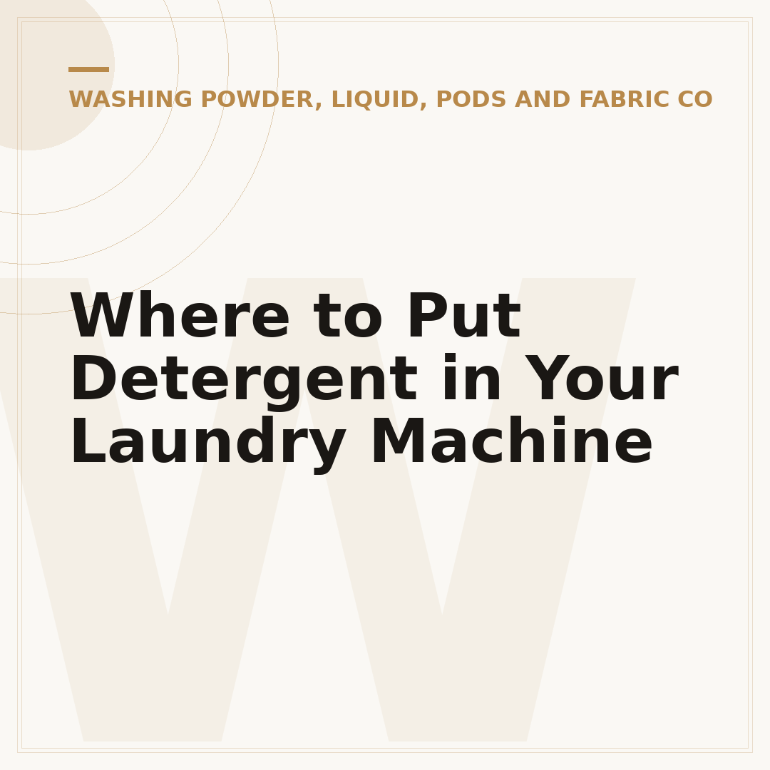 Where to Put Detergent in Your Laundry Machine