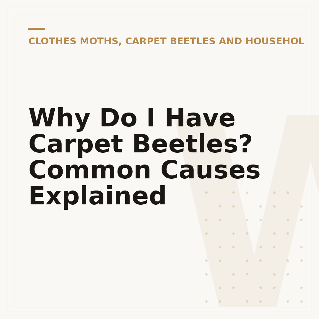 Why Do I Have Carpet Beetles? Common Causes Explained