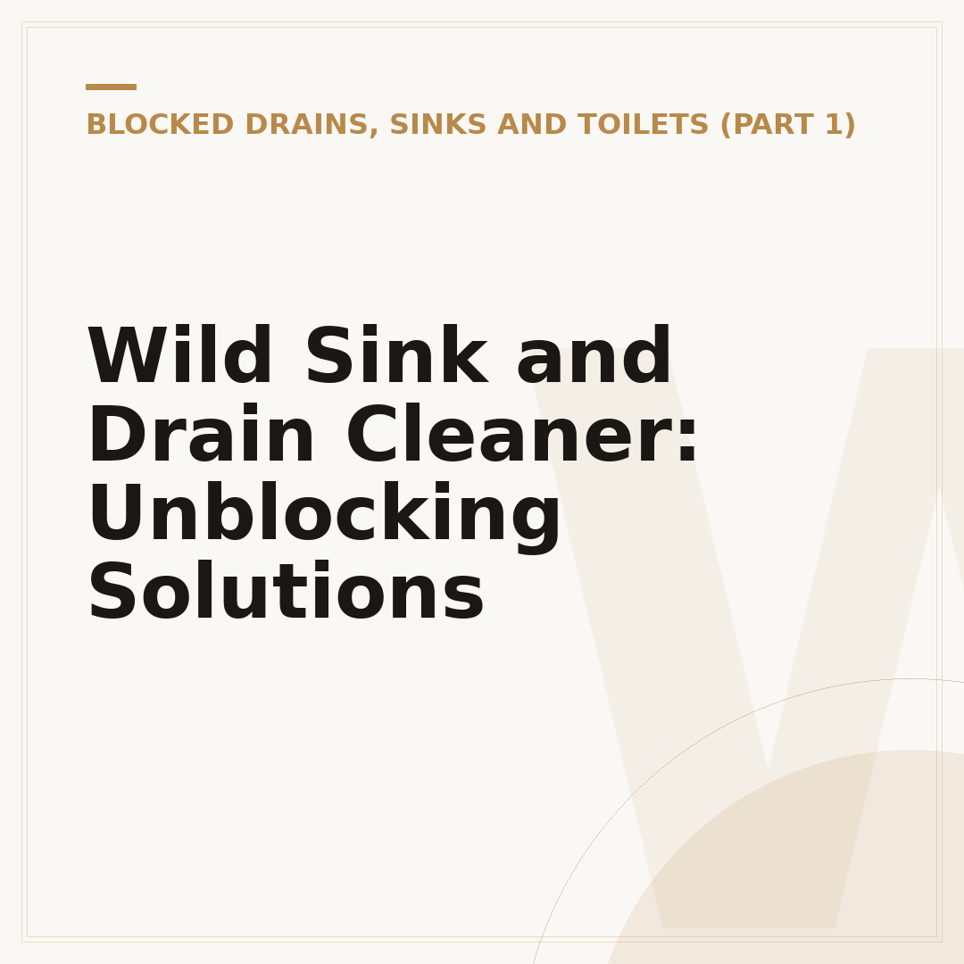 Wild Sink and Drain Cleaner: Unblocking Solutions